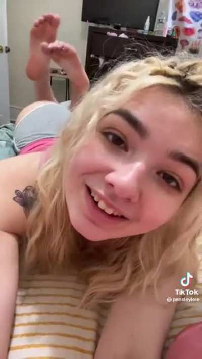 pansleylele