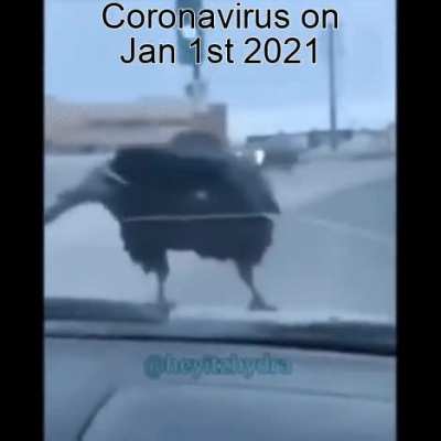 Coronavirus go bye bye