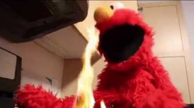 NO, ELMO