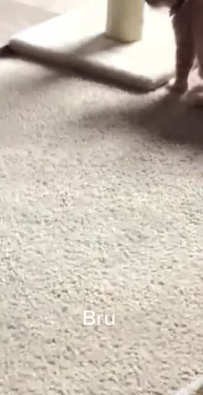 What I’m not allowed to sneeze?