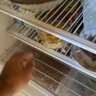 Pasta for Kookaburra