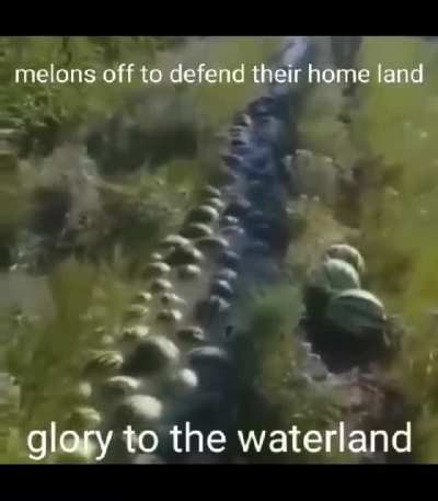 Melons