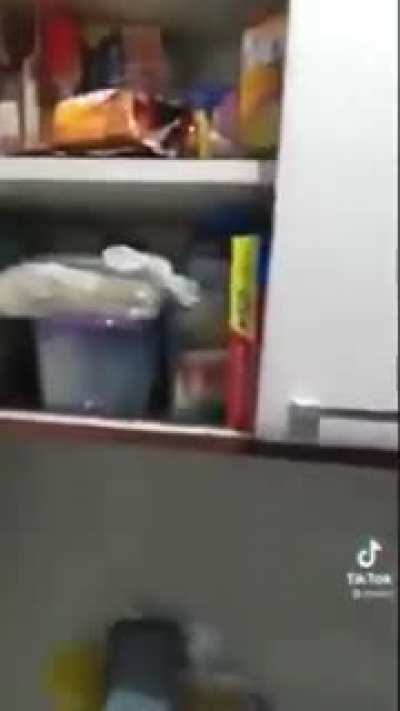 Shake it