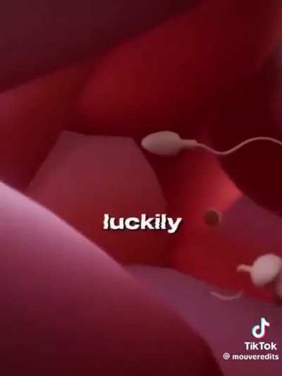loser city edit