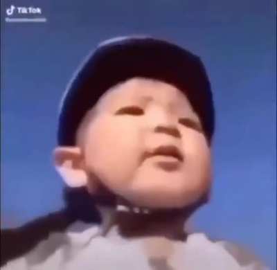 .l.
