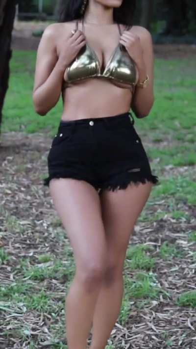 Dani