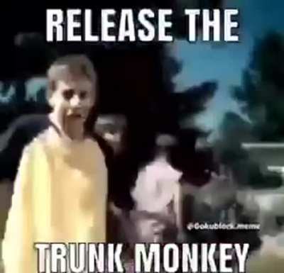 trunk monkey