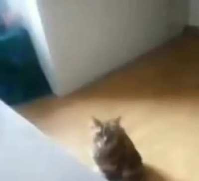 My motivation in one vid