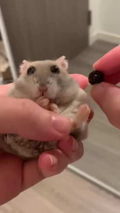 This is the funniest TikTok I've seen all day