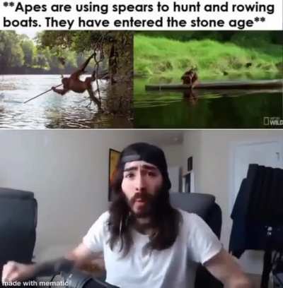 Evolution