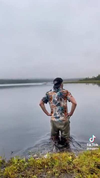 Bye bye