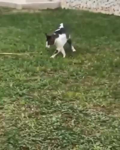 How dare you child