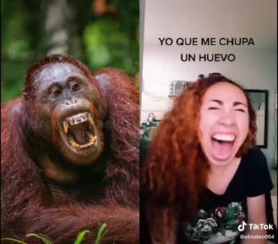 FUNENME