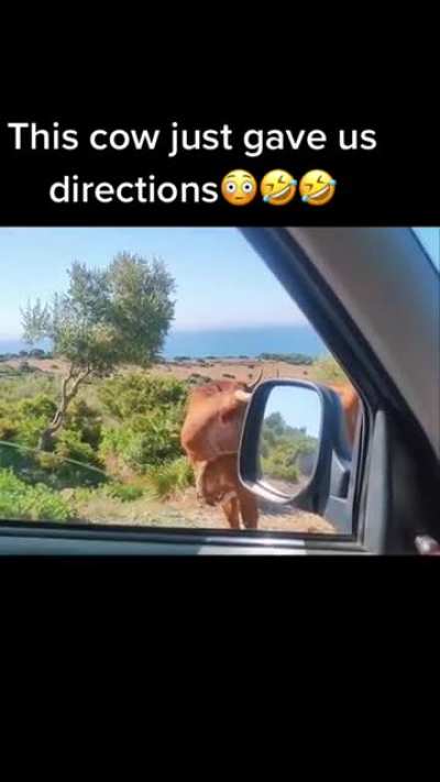 Better than gps