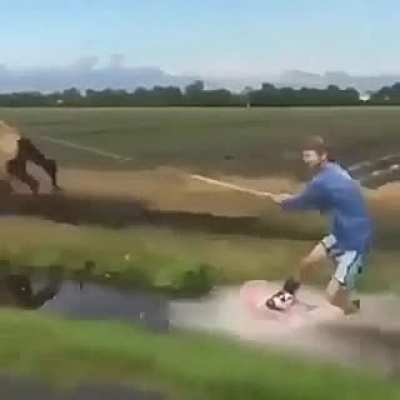One-Horse Power Is Actually Fast. (giddy up mutherfucker! Yeehaw!)