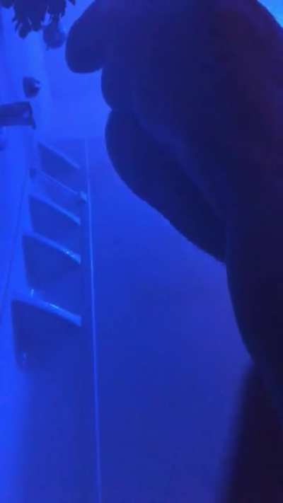Blue room💙