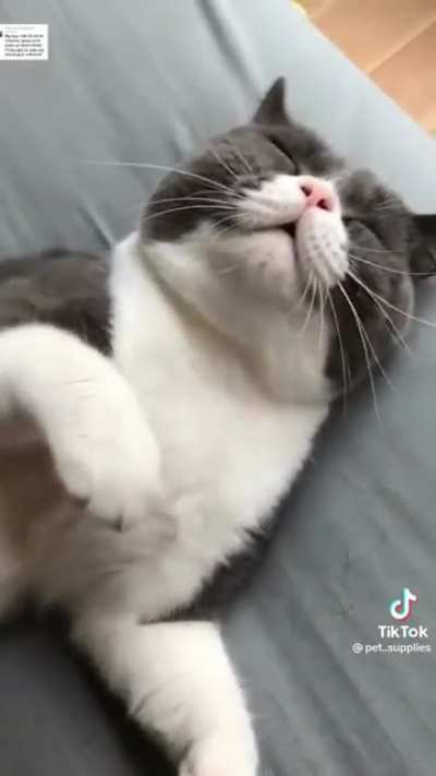 Eyebleach ä