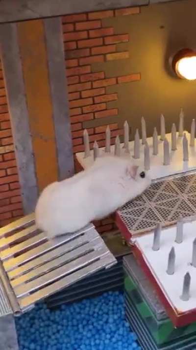 Maybe Maybe Maybe