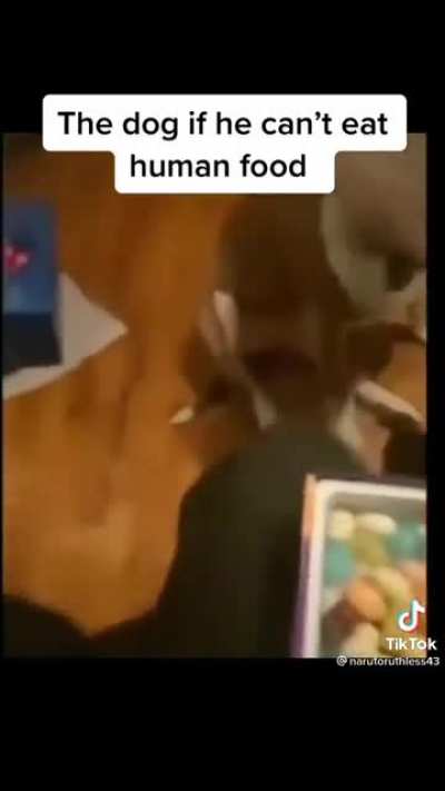 Don’t drop your food
