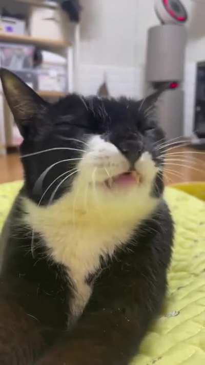 😮🧀😊