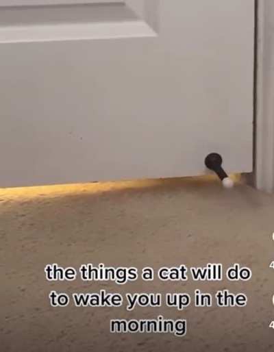 Excuse me! Time to wake up.