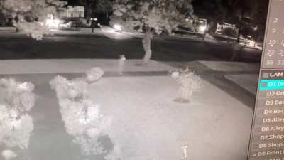 I heard something outside and checked the security camera
