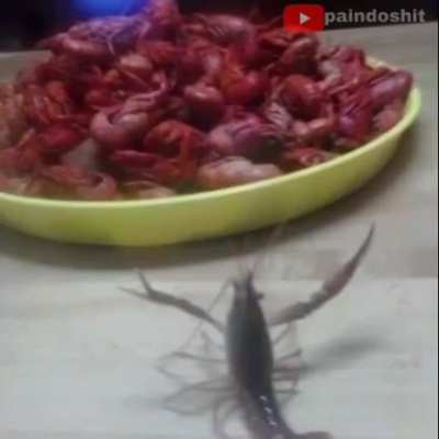 0 argumentos