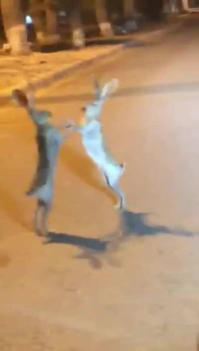 hmmm