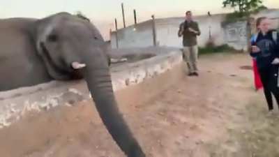 Always respect Elephants kids!