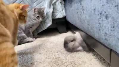 what lurks beneath