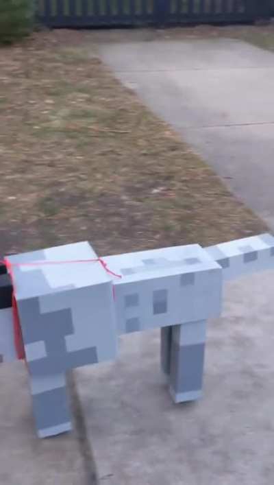 I put wheels on my Minecraft dog