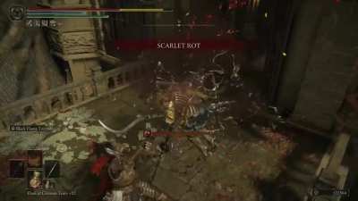 Tried to run to the Grace and was gracefully denied