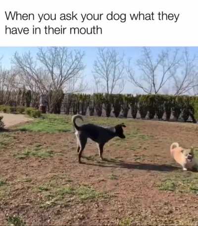 Whatcha got there, bud?