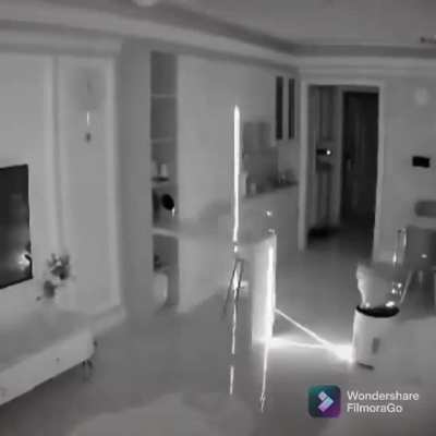 Roomba Ranger & Meowing Mechanic, Surveillors of the Mansion [Optional Bossfight]