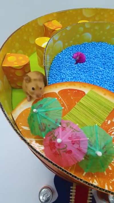 Hamster Fanta Maze