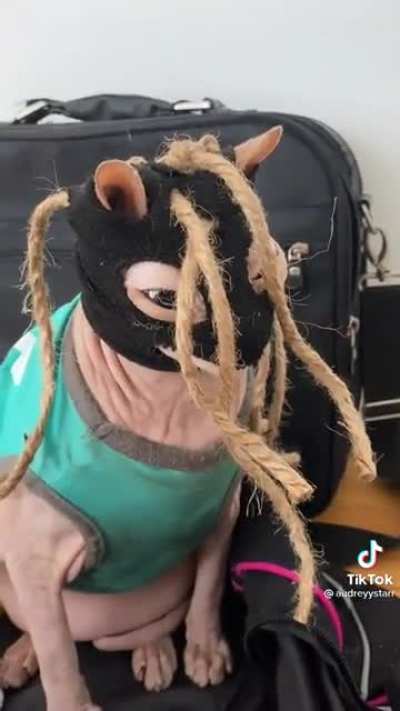 Bingus Slipknot