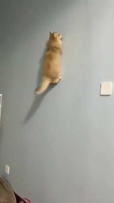Gravity? What’s that?