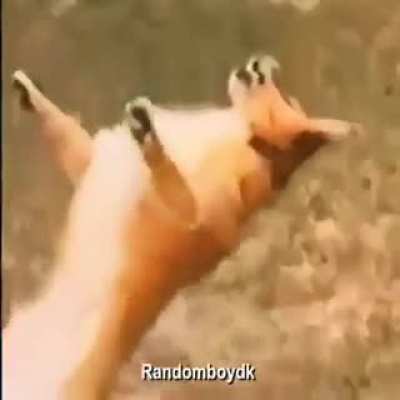 Oh Shit