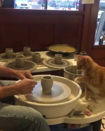 Touching boobs for the first time.