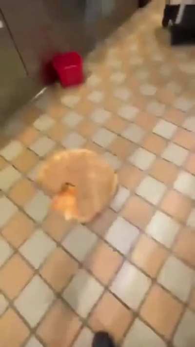 Worker jumps on pizza and slips.
