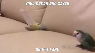 League of Legends Fans Be Like