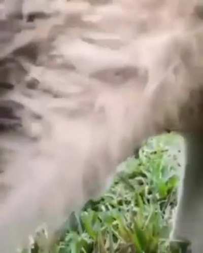 La naturaleza nunca dejará de sorprenderme