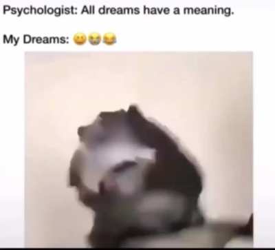 All dreams have meaning