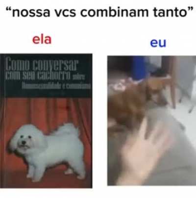 literalmente eu