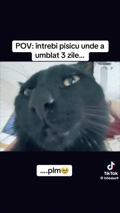 De vorba