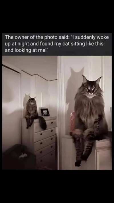 Tf