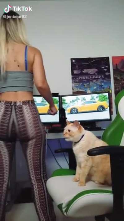That's a pretty cat