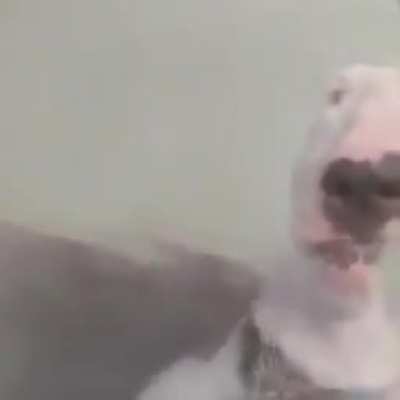 Walter does the mario