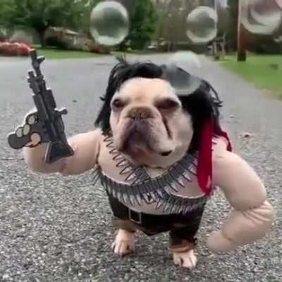 Special agent