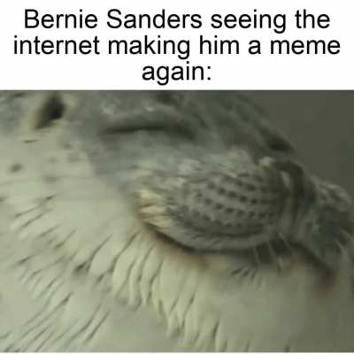 Quite the reaction
